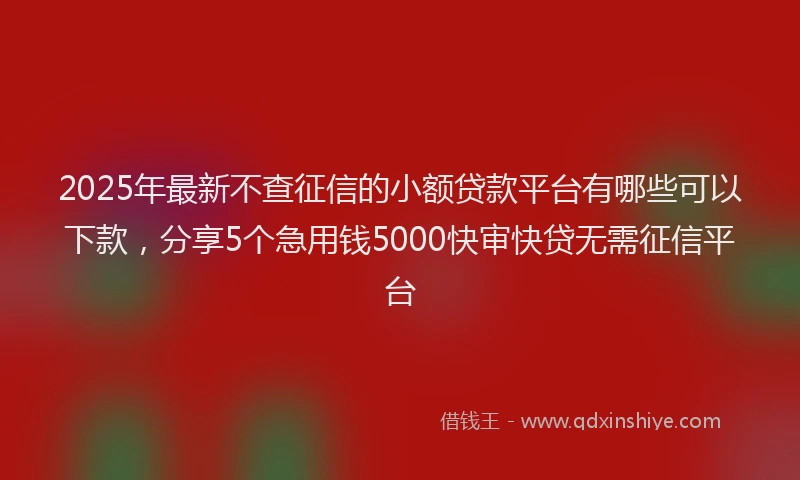 2025年最新不查征信的小额贷款平台有哪些可以下款，分享5个急用钱5000快审快贷无需征信平台