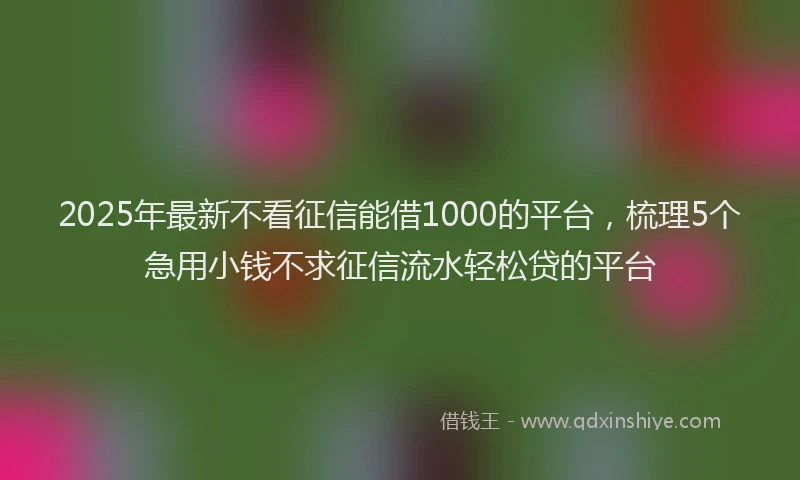 2025年最新不看征信能借1000的平台，梳理5个急用小钱不求征信流水轻松贷的平台