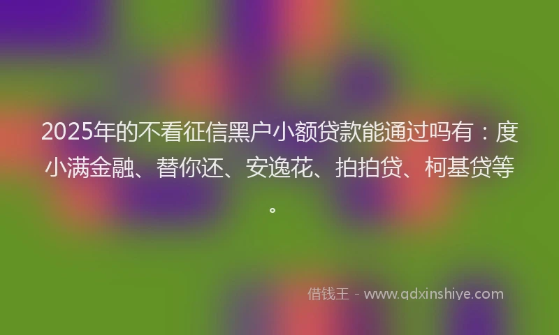 2025年的不看征信黑户小额贷款能通过吗有:度小满金融、替你还、安逸花、拍拍贷、柯基贷等。
