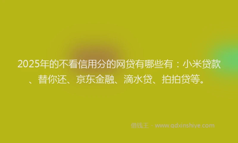 2025年的不看信用分的网贷有哪些有：小米贷款、替你还、京东金融、滴水贷、拍拍贷等。