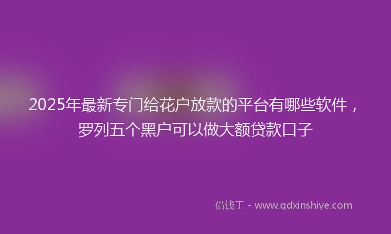 2025年最新专门给花户放款的平台有哪些软件，罗列五个黑户可以做大额贷款口子