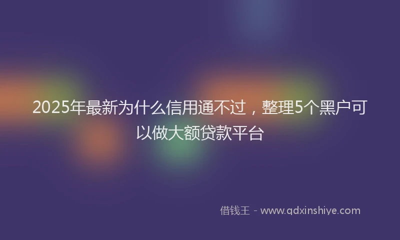2025年最新为什么信用通不过，整理5个黑户可以做大额贷款平台