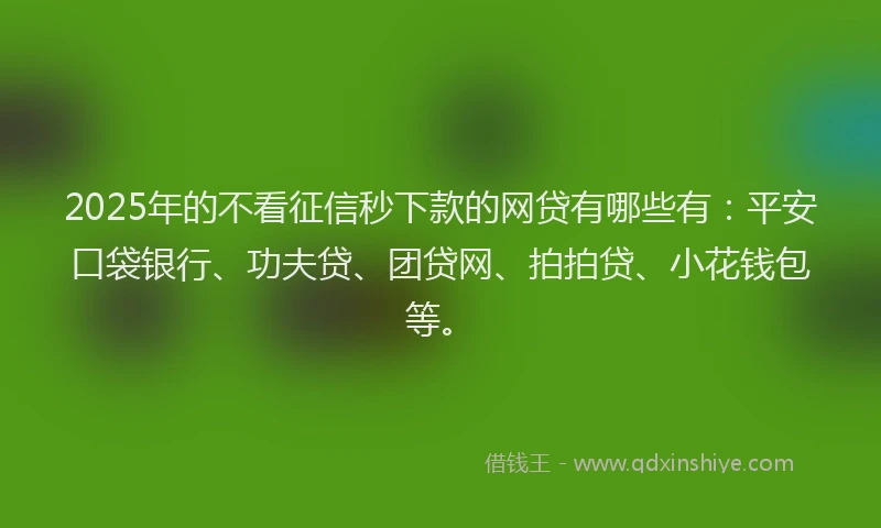 2025年的不看征信秒下款的网贷有哪些有：平安口袋银行、功夫贷、团贷网、拍拍贷、小花钱包等。