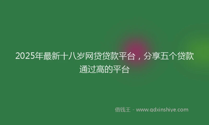 2025年最新十八岁网贷贷款平台，分享五个贷款通过高的平台