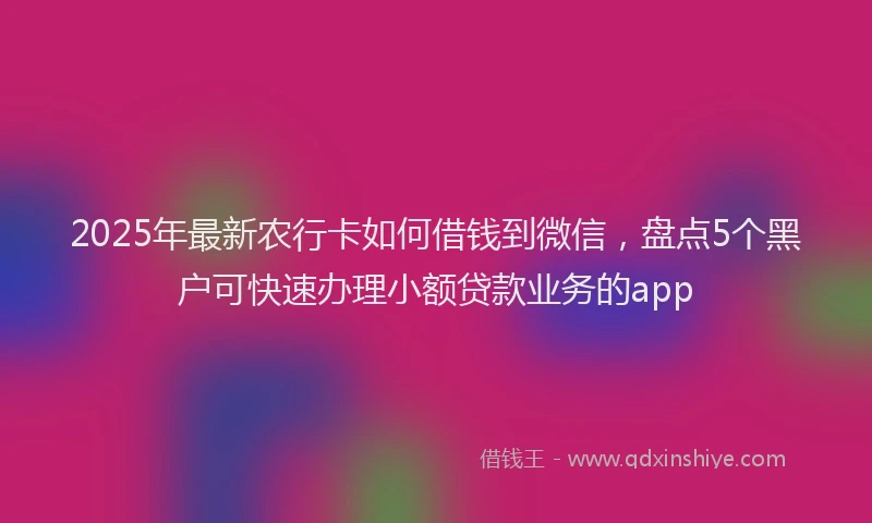 2025年最新农行卡如何借钱到微信，盘点5个黑户可快速办理小额贷款业务的app
