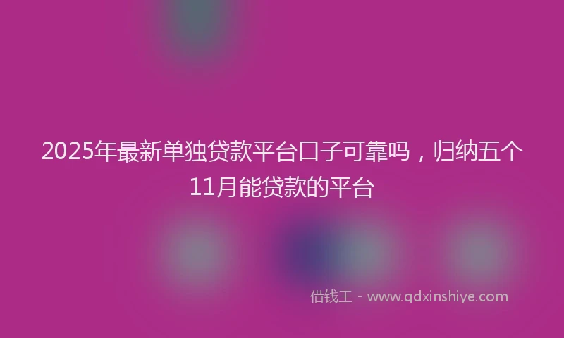 2025年最新单独贷款平台口子可靠吗，归纳五个11月能贷款的平台
