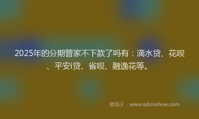 2025年的分期管家不下款了吗有：滴水贷、花呗、平安i贷、省呗、融逸花等。