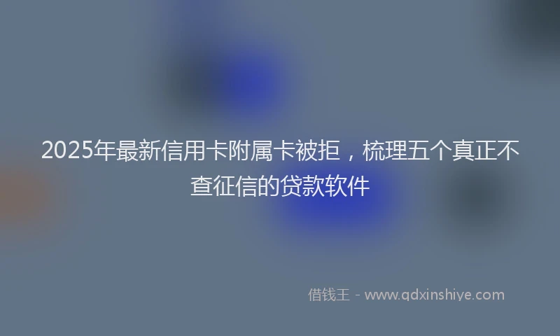 2025年最新信用卡附属卡被拒，梳理五个真正不查征信的贷款软件