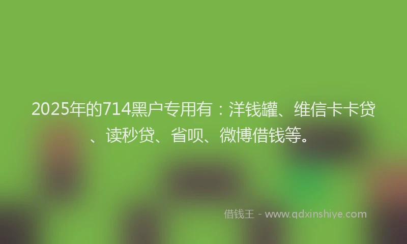 2025年的714黑户专用有：洋钱罐、维信卡卡贷、读秒贷、省呗、微博借钱等。