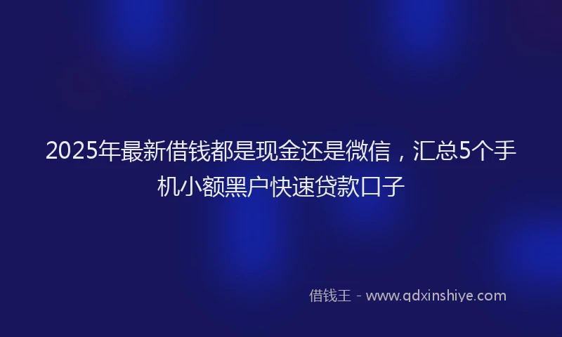 2025年最新借钱都是现金还是微信，汇总5个手机小额黑户快速贷款口子