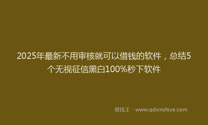 2025年最新不用审核就可以借钱的软件，总结5个无视征信黑白100%秒下软件