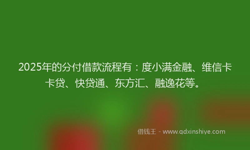 2025年的分付借款流程有：度小满金融、维信卡卡贷、快贷通、东方汇、融逸花等。