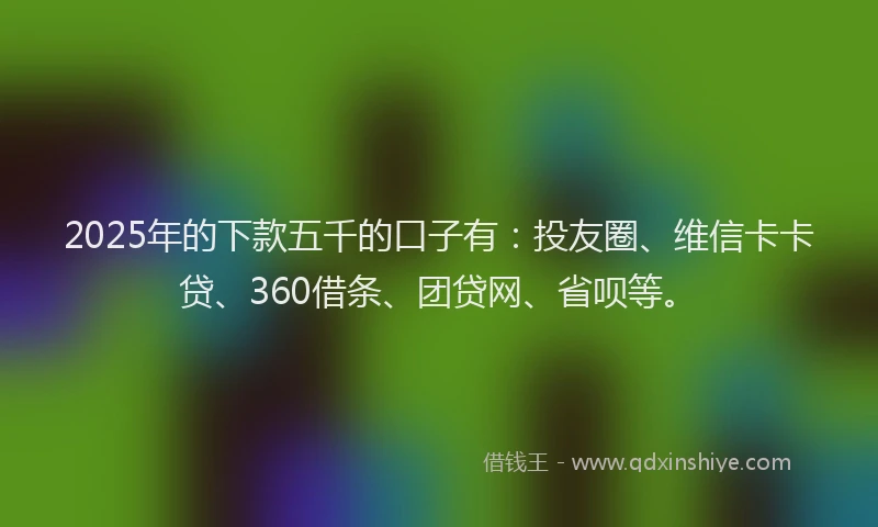 2025年的下款五千的口子有：投友圈、维信卡卡贷、360借条、团贷网、省呗等。