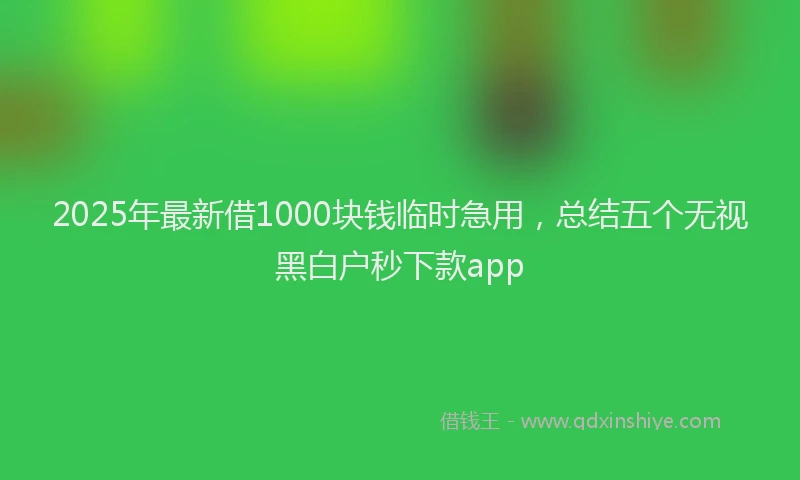 2025年最新借1000块钱临时急用，总结五个无视黑白户秒下款app