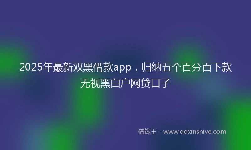 2025年最新双黑借款app，归纳五个百分百下款无视黑白户网贷口子