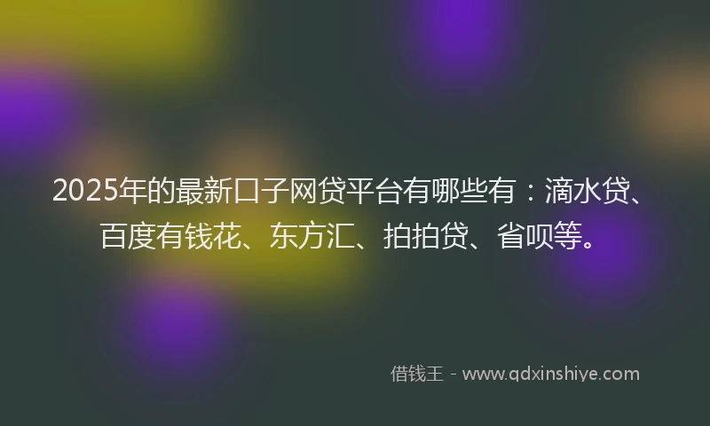 2025年的最新口子网贷平台有哪些有：滴水贷、百度有钱花、东方汇、拍拍贷、省呗等。