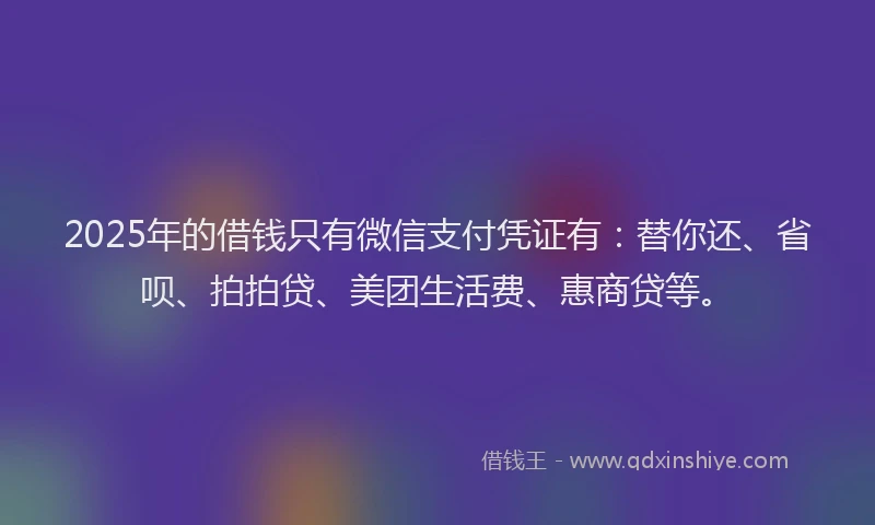 2025年的借钱只有微信支付凭证有：替你还、省呗、拍拍贷、美团生活费、惠商贷等。
