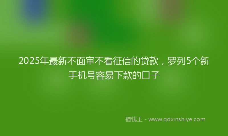 2025年最新不面审不看征信的贷款，罗列5个新手机号容易下款的口子