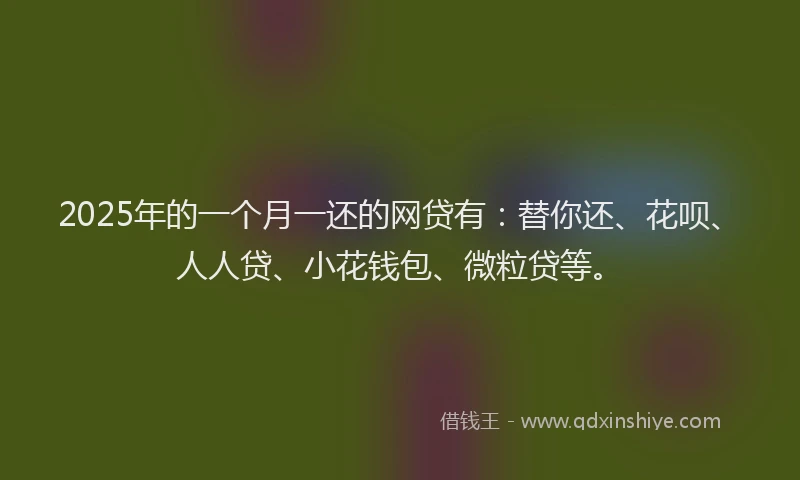 2025年的一个月一还的网贷有：替你还、花呗、人人贷、小花钱包、微粒贷等。