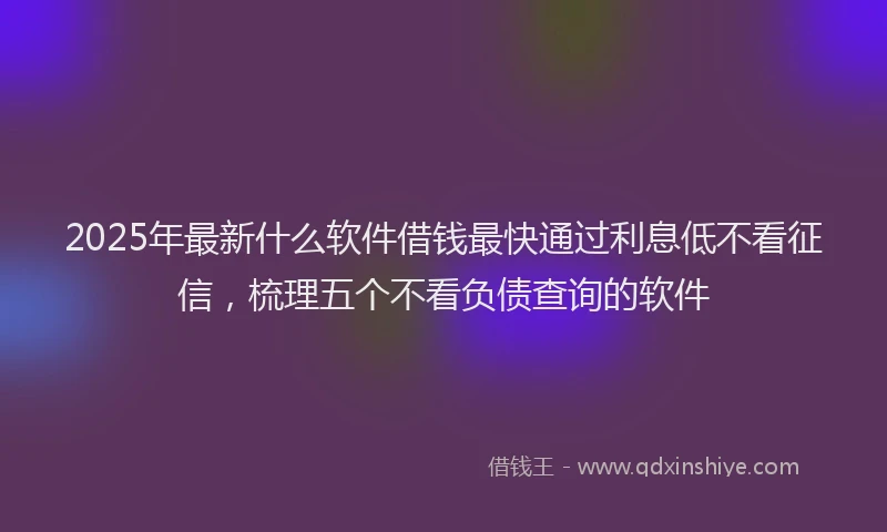 2025年最新什么软件借钱最快通过利息低不看征信，梳理五个不看负债查询的软件