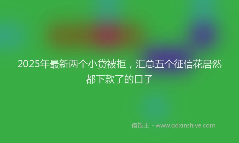 2025年最新两个小贷被拒，汇总五个征信花居然都下款了的口子