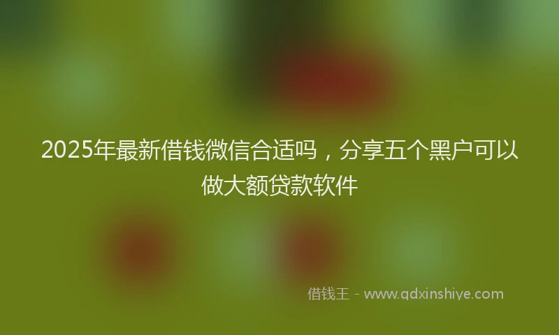 2025年最新借钱微信合适吗，分享五个黑户可以做大额贷款软件