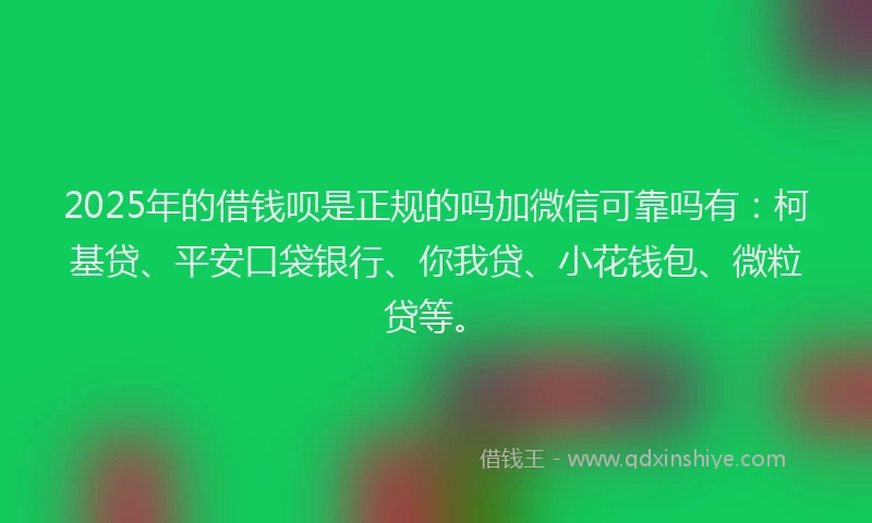 2025年的借钱呗是正规的吗加微信可靠吗有：柯基贷、平安口袋银行、你我贷、小花钱包、微粒贷等。