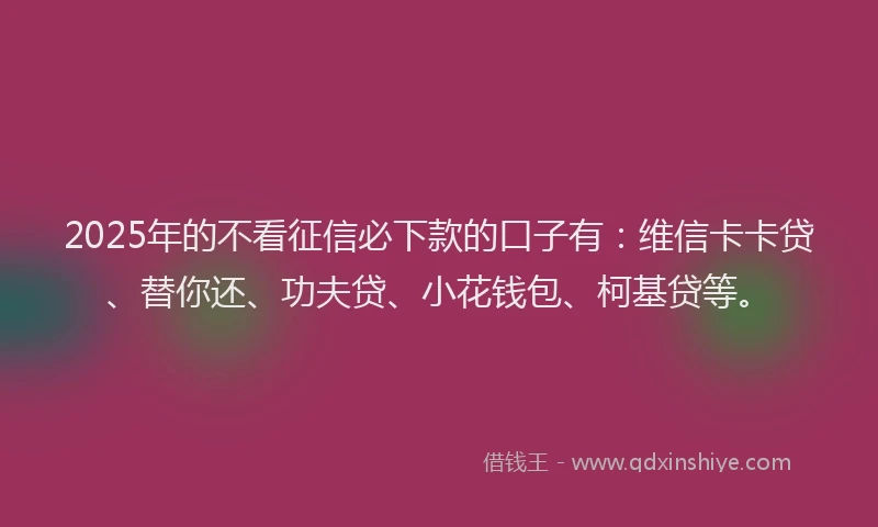 2025年的不看征信必下款的口子有：维信卡卡贷、替你还、功夫贷、小花钱包、柯基贷等。