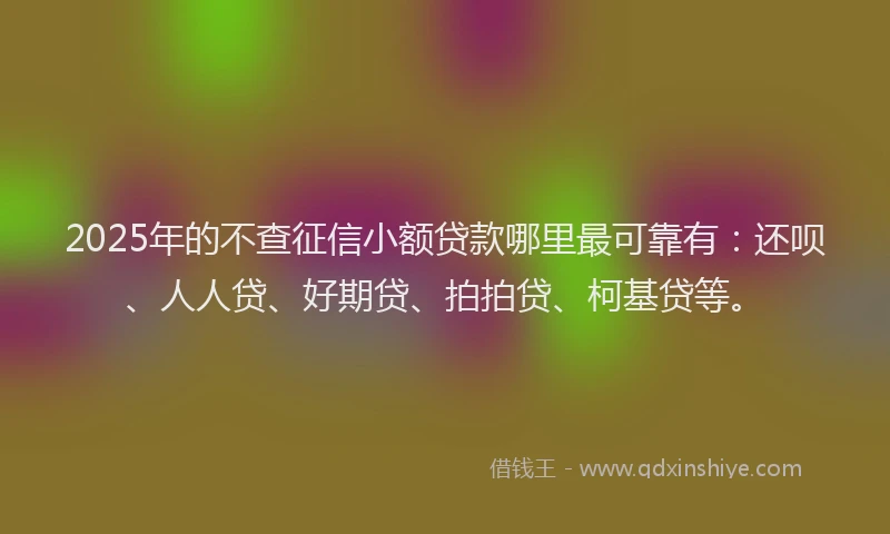 2025年的不查征信小额贷款哪里最可靠有：还呗、人人贷、好期贷、拍拍贷、柯基贷等。