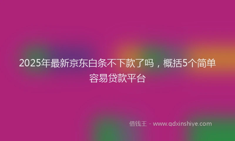 2025年最新京东白条不下款了吗，概括5个简单容易贷款平台