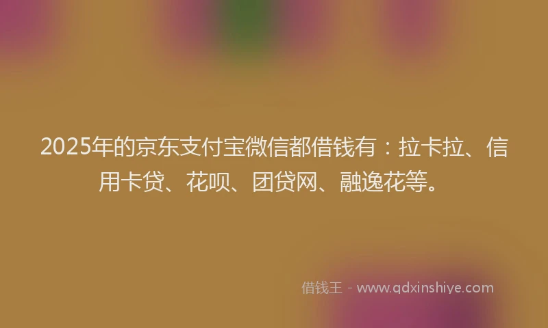 2025年的京东支付宝微信都借钱有：拉卡拉、信用卡贷、花呗、团贷网、融逸花等。