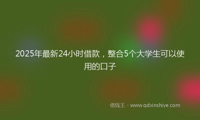 2025年最新24小时借款，整合5个大学生可以使用的口子