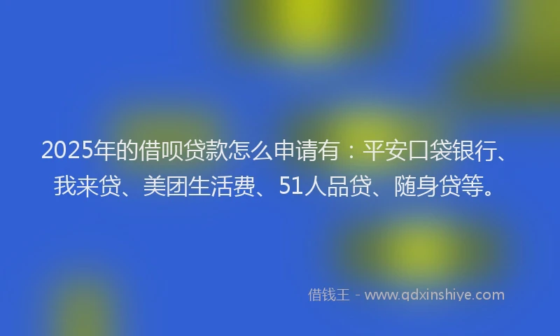 2025年的借呗贷款怎么申请有：平安口袋银行、我来贷、美团生活费、51人品贷、随身贷等。