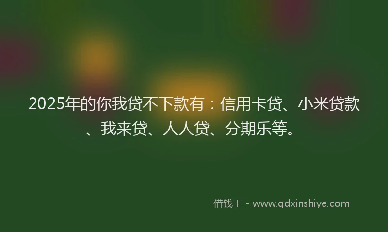 2025年的你我贷不下款有：信用卡贷、小米贷款、我来贷、人人贷、分期乐等。