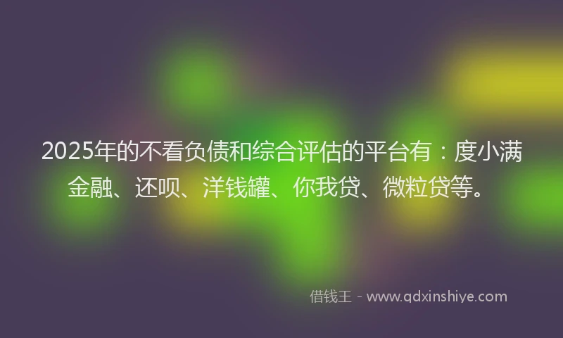 2025年的不看负债和综合评估的平台有：度小满金融、还呗、洋钱罐、你我贷、微粒贷等。