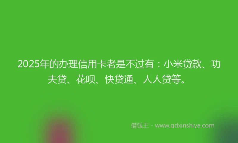 2025年的办理信用卡老是不过有：小米贷款、功夫贷、花呗、快贷通、人人贷等。