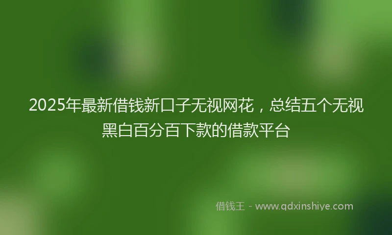 2025年最新借钱新口子无视网花，总结五个无视黑白百分百下款的借款平台