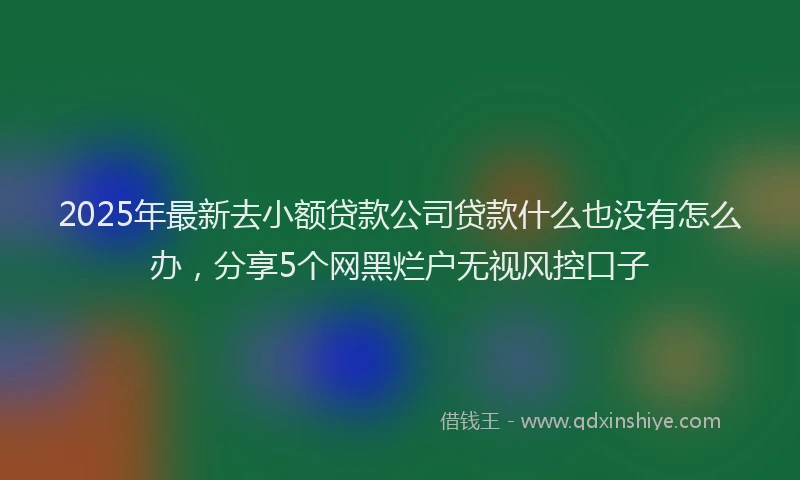 2025年最新去小额贷款公司贷款什么也没有怎么办，分享5个网黑烂户无视风控口子