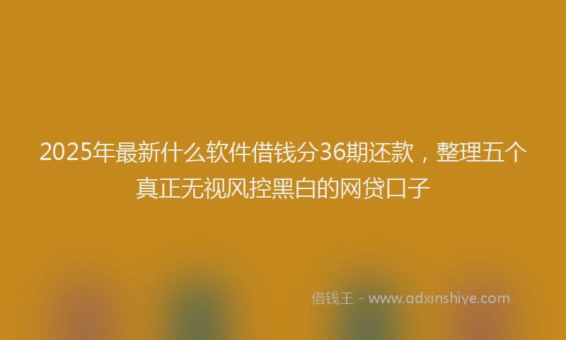 2025年最新什么软件借钱分36期还款，整理五个真正无视风控黑白的网贷口子