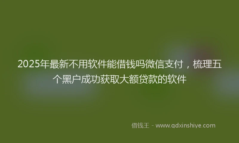 2025年最新不用软件能借钱吗微信支付，梳理五个黑户成功获取大额贷款的软件