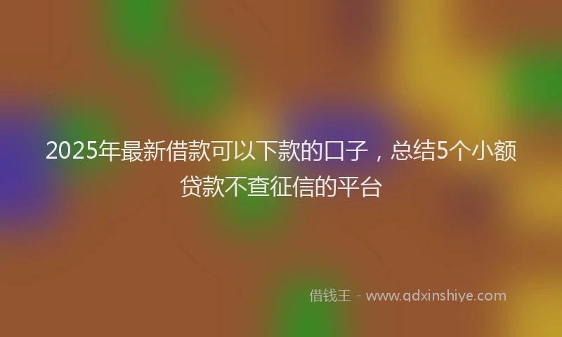 2025年最新借款可以下款的口子，总结5个小额贷款不查征信的平台