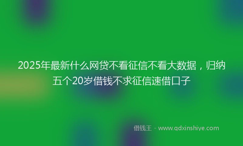 2025年最新什么网贷不看征信不看大数据，归纳五个20岁借钱不求征信速借口子