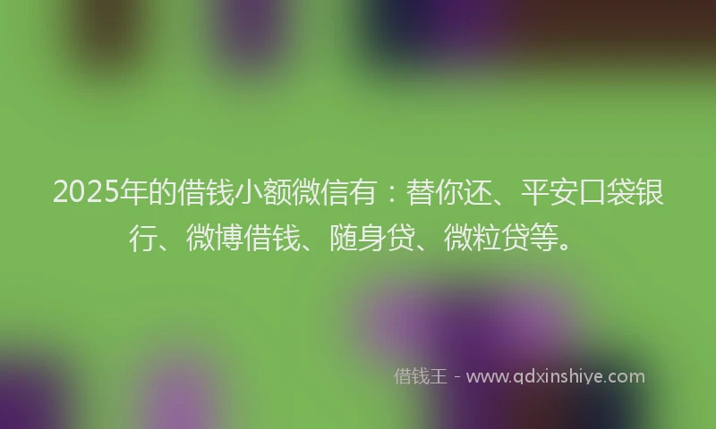 2025年的借钱小额微信有：替你还、平安口袋银行、微博借钱、随身贷、微粒贷等。