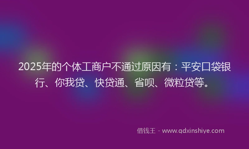 2025年的个体工商户不通过原因有：平安口袋银行、你我贷、快贷通、省呗、微粒贷等。