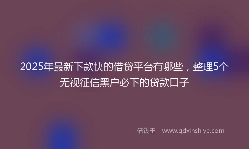 2025年最新下款快的借贷平台有哪些，整理5个无视征信黑户必下的贷款口子