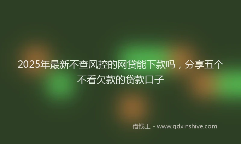 2025年最新不查风控的网贷能下款吗，分享五个不看欠款的贷款口子