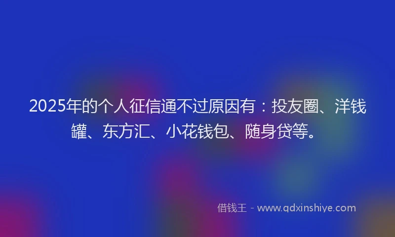 2025年的个人征信通不过原因有：投友圈、洋钱罐、东方汇、小花钱包、随身贷等。