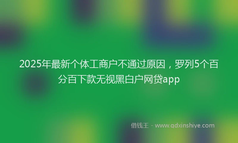 2025年最新个体工商户不通过原因，罗列5个百分百下款无视黑白户网贷app