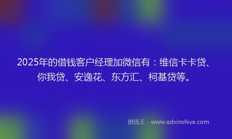 2025年的借钱客户经理加微信有：维信卡卡贷、你我贷、安逸花、东方汇、柯基贷等。