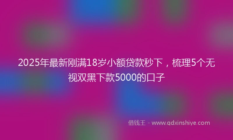 2025年最新刚满18岁小额贷款秒下，梳理5个无视双黑下款5000的口子